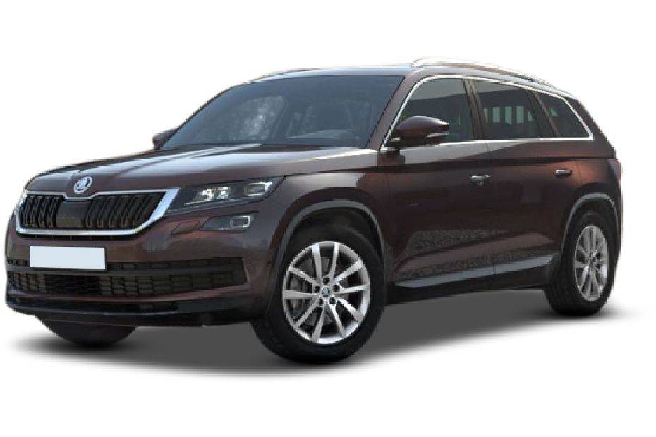 Magnetic brown skoda