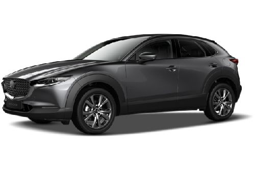 Grey Metallic Grey Metallic
