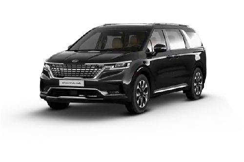 Aurora Black Pearl  Aurora Black Pearl