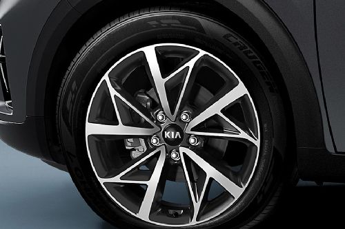 Niro Wheel Niro Wheel
